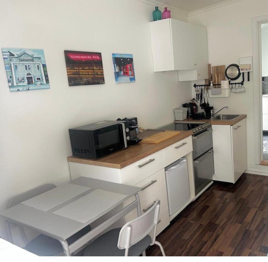 Studio 104- Free Parking Onsite -Private Entrance Reykjavik Ngoại thất bức ảnh